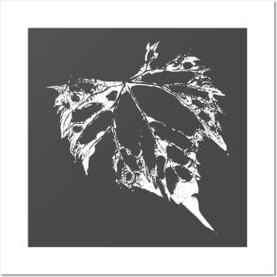 White Leaf Posters and Art